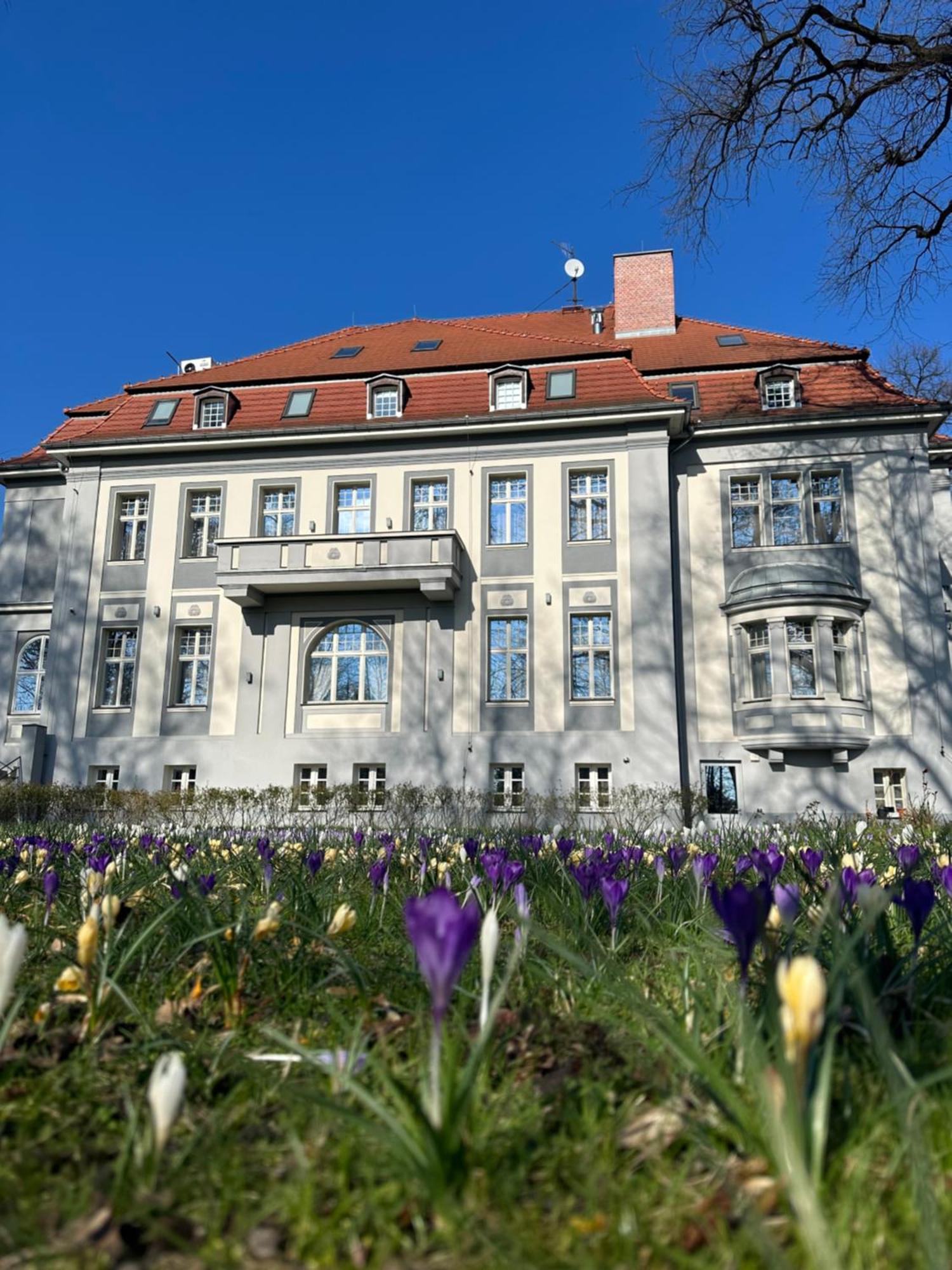 Hotel Willa Starosty Międzyrzecz Extérieur photo